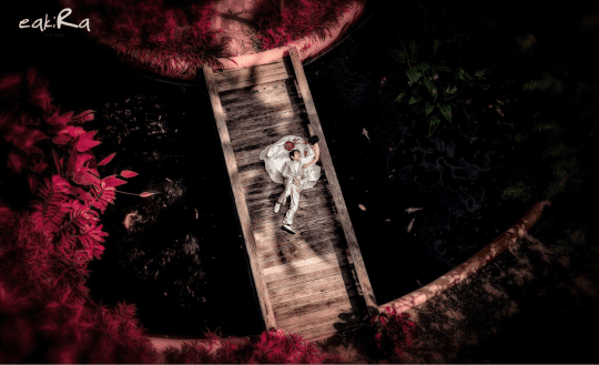 Omurilik Felcinden Profesyonel Tasarımcıya