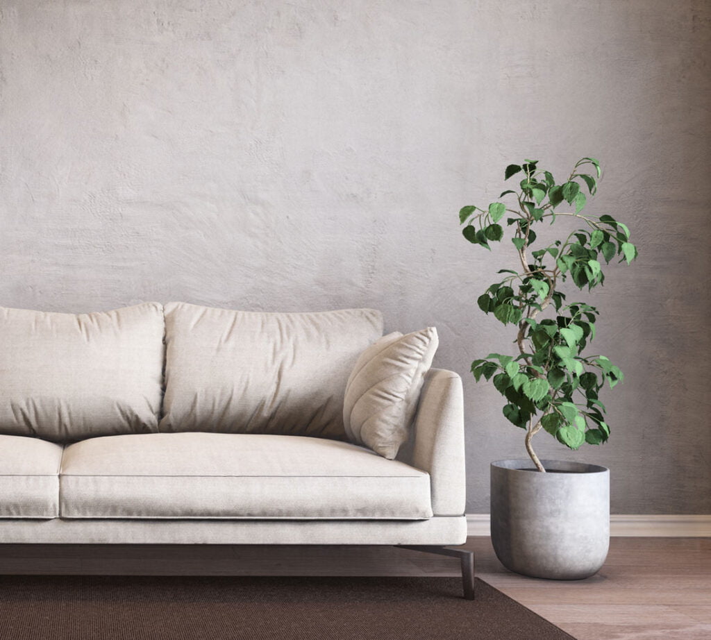 Lumion 2023 10 rendering plaster wall Lumion 2023'ü Keşfedin
